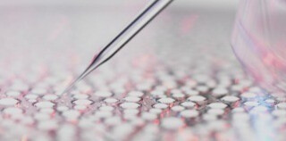 Otkrijte naš jedinstveni, naučni pristup ekobiologiju.